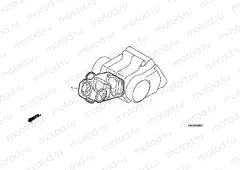 EOP-1 GASKET KIT A (C50DF / LAG / G / DG / SN)