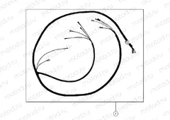 EUROPEAN COMPONENTS | EUROPEAN COMPONENTS, WIRE HARNESS, TAIL LIGHT - e2/e4/eS (49GEMEUROCOMPS11HARNESSES)