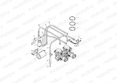 Evap System 254726