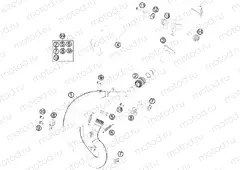 EXHAUST SYSTEM
