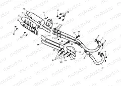 Exhaust System