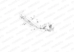 Exhaust System
