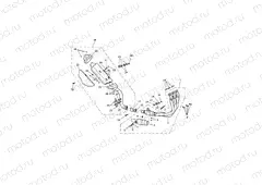 Exhaust System