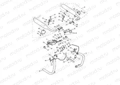 Exhaust System