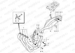 Exhaust System