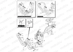 Exhaust System