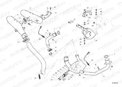 EXHAUST SYSTEM » EXHAUST SYSTEM