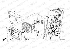 F-1 HEADLIGHT / SPEEDOMETER (C50DF / DG)