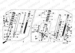 F-11 FRONT FORK