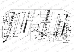 F-11 FRONT FORK