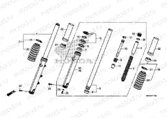F-11 FRONT FORK