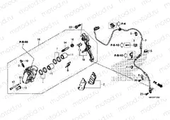 F-12 FRONT BRAKE CALIPER
