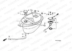 F-12 FUEL TANK (C50DF / LAG / G / DG / SN)