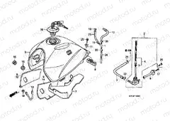 F-14 FUEL TANK (XL125V1 / 2/3/4/5/6)