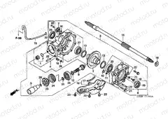 F-17 FINAL DRIVEN GEAR