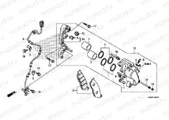 F-18-1 FRONT BRAKE CALIPER (SH125A, AD / SH150A, AD)