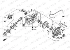 F-19 FINAL DRIVEN GEAR
