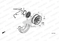 F-19 REAR WHEEL