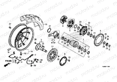 F-19 REAR WHEEL