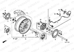 F-19 REAR WHEEL