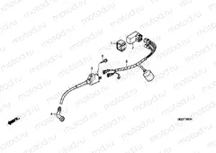F-19 WIRING HARNESS