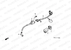 F-19 WIRING HARNESS