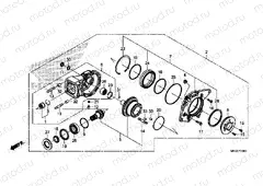 F-20 FINAL DRIVEN GEAR