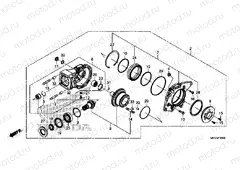 F-20 FINAL DRIVEN GEAR