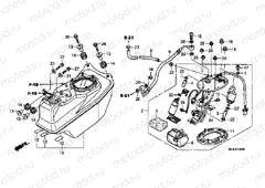 F-20 FUEL PUMP