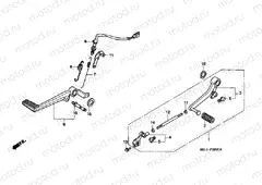 F-20 PEDAL