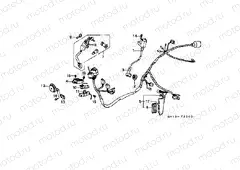 F-20 WIRING HARNESS