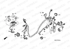 F-20 WIRING HARNESS / IGNITION COIL