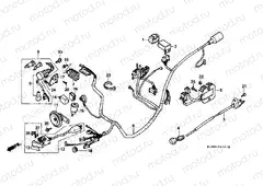 F-21-1 WIRING HARNESS (CH125J / L / M / N / P / R)