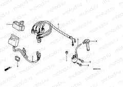 F-21-1 WIRING HARNESS (CRF450R8)