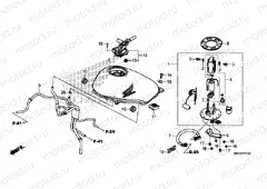 F-21 FUEL TANK & FUEL PUMP