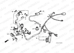 F-21 WIRING HARNESS