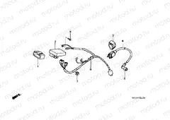 F-21 WIRING HARNESS