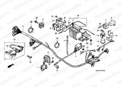 F-21 WIRING HARNESS / BATTERY (C50DF / DG)