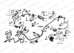 F-21 WIRING HARNESS (CH125E / G)
