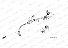 F-21 WIRING HARNESS / IGNITION COIL
