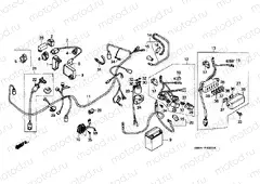F-22 WIRING HARNESS