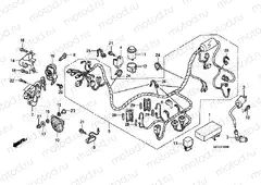 F-22 WIRING HARNESS