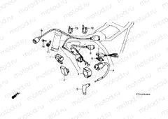 F-22 WIRING HARNESS / IGNITION COIL
