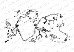 F-22 WIRING HARNESS / IGNITION COIL / BATTERY