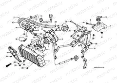 F-23-1 RADIATOR (CH125J / L / M / N / P / R)
