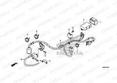 F-23 WIRING HARNESS