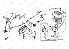 F-23 WIRING HARNESS
