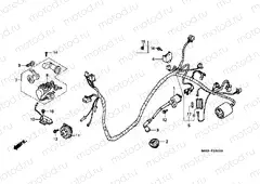 F-23 WIRING HARNESS / IGNITION COIL