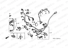 F-23 WIRING HARNESS / IGNITION COIL