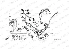F-23 WIRING HARNESS / IGNITION COIL